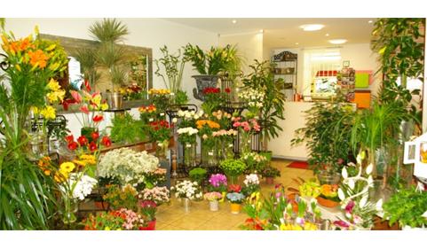 Fonds de commerce MAGASIN FLEURS GIRONDE (Bordeaux 33 Gironde) à vendre